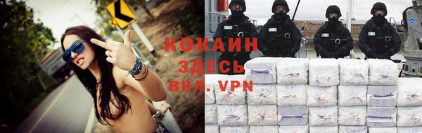 метадон Богданович