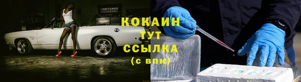 мяу мяу мука Беломорск