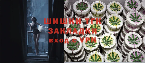 метадон Богданович