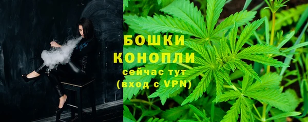 ПСИЛОЦИБИНОВЫЕ ГРИБЫ Белокуриха