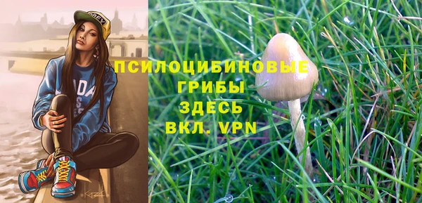 метадон Богданович