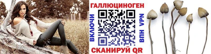 где можно купить наркотик  Воркута  Галлюциногенные грибы мухоморы 