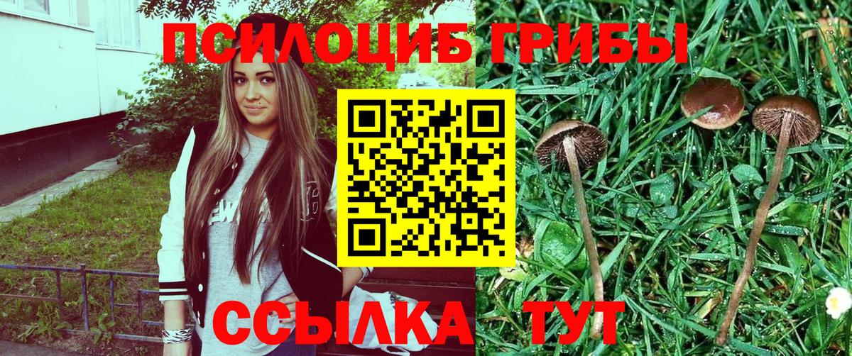 Галлюциногенные грибы Cubensis Воркута